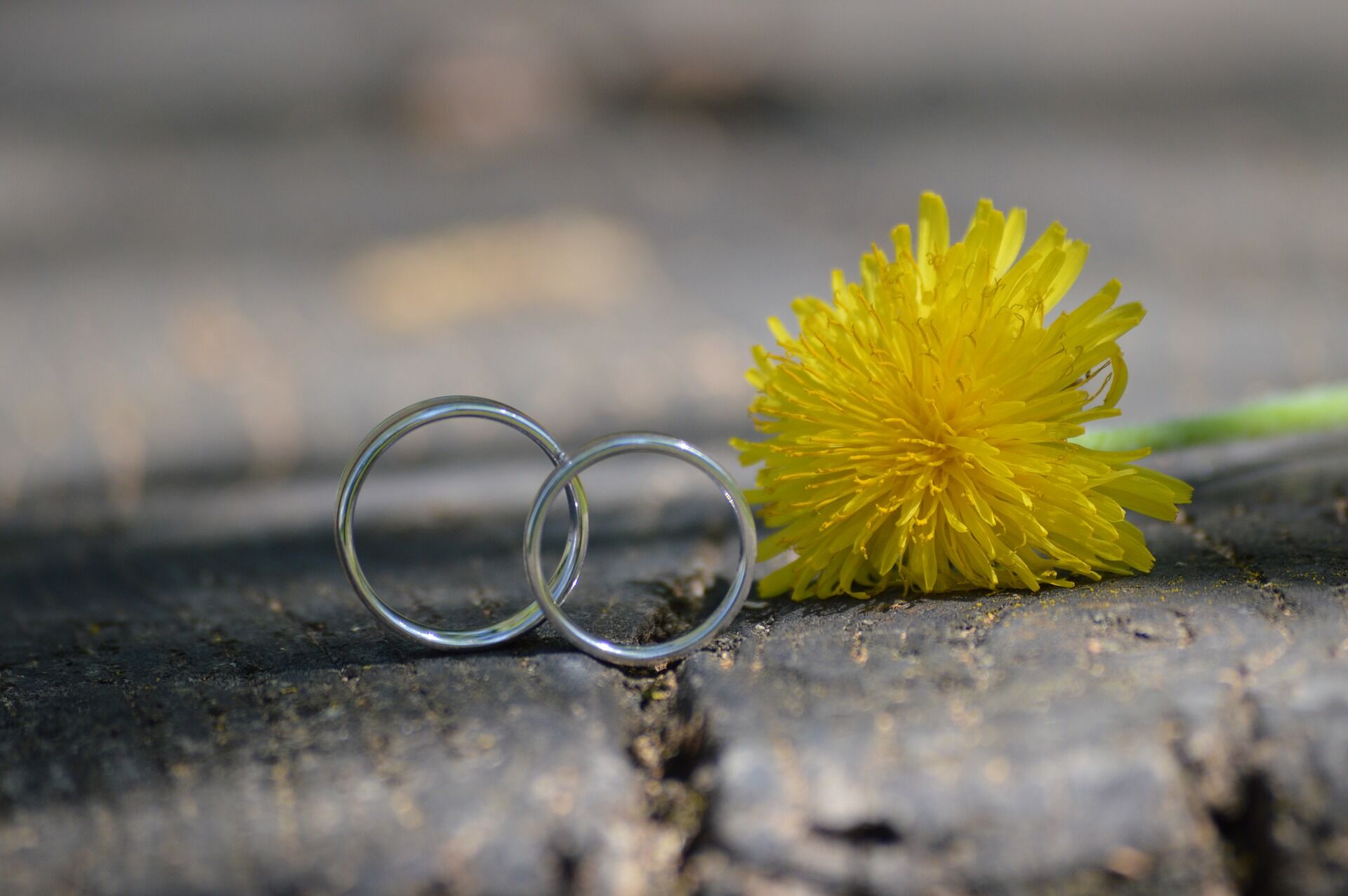 wedding-3400459_1920